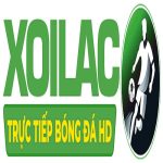 most-fit com lừa đảo
