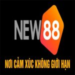 new8ycom