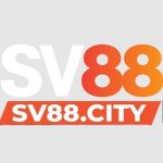 Sv88
