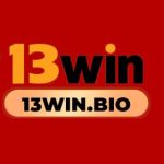 13winbio