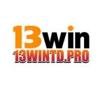 13wintdpro