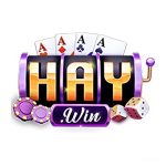 Haywin – Trải Nghiệm Cá Cược An Toàn