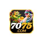 7075gameorg