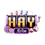 77haywincom