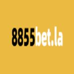 8855betstudy