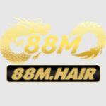 88M