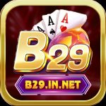 B29 Club
