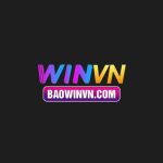 baowinvncom
