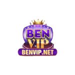 benvipnet