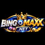BINGOMAX