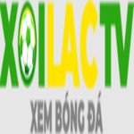 braidio.com giả mạo