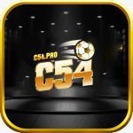 c54pro1