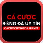 Cá cược bóng đá