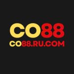 Nhà cái CO88