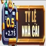 Tỷ Lệ Nhà Cái