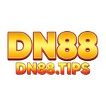 dn88tips2