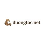 duongtocnet
