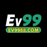 ev9988com