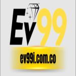 EV99