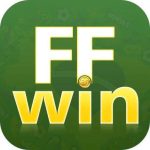 FFwin brcom