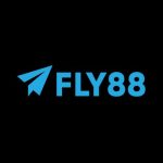 fly88autos