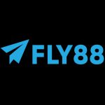 fly88netcom1