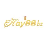 Hay88 Bz