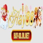hay88innet