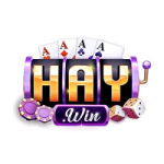 Haywin – Nền Tảng Cá Cược Trực Tuyến Uy Tín Và Hấp Dẫn