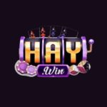 Trải Nghiệm Haywin Club – Sân Chơi Game Bài Đỉnh Cao 2026