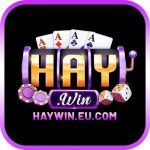 HAYWIN EU
