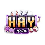 Haywin