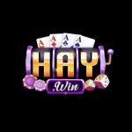 Haywin