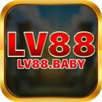 lv88 baby