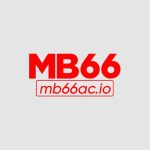 mb66acio