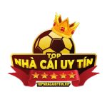 nhacaiuytinvip