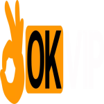 okvipcomgroup