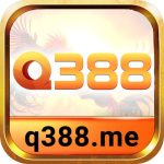 q388me