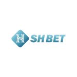 Shbet8dev