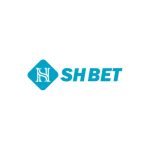 shbetdecom1