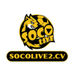 socolive2cv1