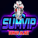 sumvipinnet1