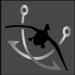 Captain Martys Lake Texoma Fishing Guides