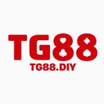 tg88 diy
