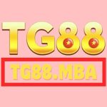 tg88mba2