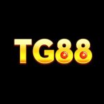 Tg88 Xcom