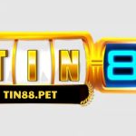 tin88