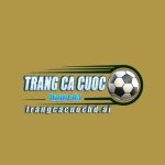 Trang Cá Cược Bóng Đá AI