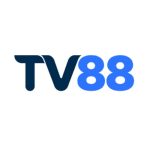 tv8881com