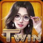 twin68network
